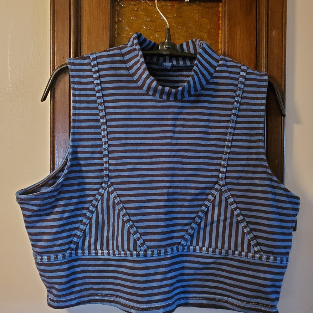 Fashion Brand Company Striped Blue and Brown Crop Top